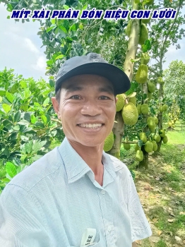Bí quyết của anh Triệu tại Mỹ An, huyện Tháp Mười, tỉnh Đồng Tháp làm bông mùa nghịch cho mít mùa nghịch là nhờ phân bón hiệu Con Lười F35