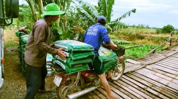 PHÂN BÓN CON LƯỜI HÂN HẠNH PHỤC VỤ BÀ CON TẠI CHÂU PHÚ - AN GIANG TRONG VỤ 3 NĂM 2023