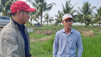 Hiệu quả vượt trội của phân bón hiệu Con Lười F35 tại huyện Hòn Đất - tỉnh Kiên Giang